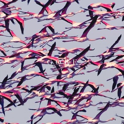 Deftones - Gore Deftones - Gore