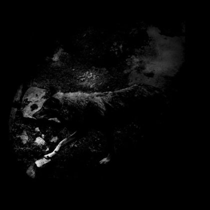 October Falls - The Womb of Primordial Nature October Falls - The Womb of Primordial Nature