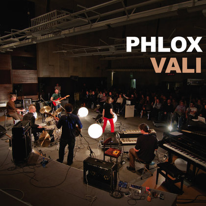 Phlox - Vali Phlox - Vali