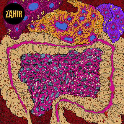 Zahir - What Noise? Zahir - What Noise?